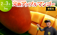 ＜2026年6月下旬から順次発送・贈答用＞みなとばる農園の完熟アップルマンゴー1kg(2～3玉)【1700015】