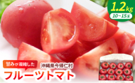 ＜2027年2月中旬から順次発送＞甘みが凝縮したフルーツトマト1.2kg(10玉～15玉)【1726083】