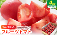 ＜2027年2月中旬から順次発送＞甘みが凝縮したフルーツトマト4.0kg(30玉～35玉)【1726085】