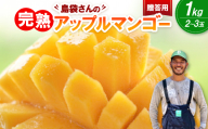 ＜2026年7月上旬から順次発送・贈答用＞島袋さんの完熟アップルマンゴー 1kg(2～3玉)【1726283】