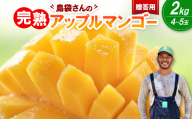 ＜2026年7月上旬から順次発送・贈答用＞島袋さんの完熟アップルマンゴー 2kg(4～5玉)【1726284】