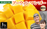 ＜2026年7月から順次発送・贈答用＞仲宗根果実園のアーウィンマンゴー1kg(2～3玉)【1726878】