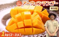 ＜2026年7月から順次発送・贈答用＞富平農園のアーウィンマンゴー1kg(2～3玉)【1726880】