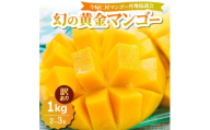 ＜2026年7月中旬から順次発送・訳あり＞今帰仁産の幻の黄金マンゴー1kg(2～3玉)【4014736】