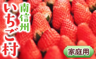 【2027年1月～発送開始】ご家庭用いちご　約600g（2パック）　苺｜イチゴ｜フルーツ｜果物｜南信州いちご村｜長野県