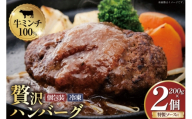 ハンバーグ  手ごねハンバーグ 200g 2個 [さかい 福岡県 筑紫野市 21761482] 肉 牛肉 牛ミンチ 牛ハンバーグ 惣菜 おかず 個包装 手作り お弁当 冷凍