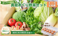 【3カ月定期便】真庭あぐり野菜セット カット野菜が1品入る 7～8品 平飼い卵付き / 産地直送 農家 お試し 岡山県 新鮮 あぐりガーデン 国産 【配送不可地域：北海道／沖縄県／離島】 【jujy-tkb059】