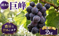 【 先行予約 】 ぶどう 巨峰 種あり 2kg 《 2026年 8月 上旬 ～ 順次発送 》フルーツ ぶどう 葡萄 期間限定 旬 産地直送 農家直送 産直 贈答 家庭用 ギフト 中内農園 ぶどう 直売所 徳島県 阿波市