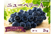 【 先行予約 】 ぶどう ニューベリーA 2kg 《 2026年 8月 上旬 ～ 順次発送 》フルーツ ぶどう 葡萄 期間限定 旬 産地直送 農家直送 産直 贈答 家庭用 ギフト 中内農園 ぶどう 直売所 徳島県 阿波市