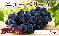 【 先行予約 】 ぶどう ニューベリーA 5kg 《 2026年 8月 上旬 ～ 順次発送 》フルーツ ぶどう 葡萄 期間限定 旬 産地直送 農家直送 産直 贈答 家庭用 ギフト 中内農園 ぶどう 直売所 徳島県 阿波市