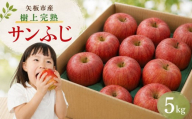 【数量限定】りんご 樹上完熟 サンふじ 5kg【2026年 先行予約】観光農園｜リンゴ 林檎 フルーツ 果物 | 栃木県 矢板市