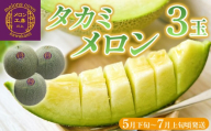 タカミメロン 3玉【5月下旬～7月上旬頃発送】　メロン工房 川上　メロン タカミ 貴味 青肉 フルーツ 果物 2026年 おすすめ 甘い 糖度 贅沢 みずみずしい ジューシー 肉厚 期間限定 数量限定 季節限定 国産 房総 千葉県 富津市 メロン工房 川上