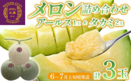 アールスメロン 1玉＆タカミメロン 2玉 詰め合わせ【6～7月上旬頃発送】　メロン工房 川上　メロン アールス タカミ フルーツ 果物 2026年 詰め合わせ 詰合せ セット MIX ミックス おすすめ 甘い 糖度 贅沢 みずみずしい ジューシー 肉厚 期間限定 数量限定 季節限定 国産 房総 千葉県 富津市 メロン工房 川上
