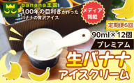 【定期便6ヶ月】【果実のままの甘み】プレミアム生バナナアイスクリーム 12個セット｜冷凍スイーツ 濃厚 なめらか ひんやり デザート おやつ ご褒美 おしゃれ プレゼント 手土産 お祝い 女性向け おうちカフェ お取り寄せ 愛知県 名古屋