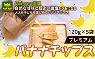 【軽やかな食感の贅沢おやつ】プレミアムバナナチップス 120g 5袋 ｜ドライフルーツ おやつ スナック お菓子 軽食 スイーツ サクサク おつまみ ギフト プレゼント お配り 家庭用 子供 女性向け おしゃれ お取り寄せ 愛知県 名古屋市