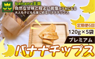 【定期便6ヶ月】【軽やかな食感の贅沢おやつ】プレミアムバナナチップス 120g 5袋 ｜ドライフルーツ おやつ スナック お菓子 軽食 スイーツ サクサク おつまみ ギフト プレゼント お配り 家庭用 子供 女性向け おしゃれ お取り寄せ 愛知県 名古屋市
