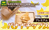 【定期便12ヶ月】【軽やかな食感の贅沢おやつ】プレミアムバナナチップス 120g 5袋 ｜ドライフルーツ おやつ スナック お菓子 軽食 スイーツ サクサク おつまみ ギフト プレゼント お配り 家庭用 子供 女性向け おしゃれ お取り寄せ 愛知県 名古屋市