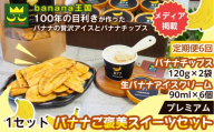 【定期便6ヶ月】【ご褒美スイーツセット】プレミアム生バナナアイスクリーム（90ml×6個）・プレミアムバナナチップス（120g×2個）1セット｜お菓子 デザート 詰め合わせ 食べ比べ ご褒美 人気 ギフト プレゼント 手土産 お祝い お配り 来客用 女性向け おしゃれ おうちカフェ お取り寄せ 贅沢 愛知県 名古屋市