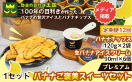 【定期便12ヶ月】【ご褒美スイーツセット】プレミアム生バナナアイスクリーム（90ml×6個）・プレミアムバナナチップス（120g×2個）1セット｜お菓子 デザート 詰め合わせ 食べ比べ ご褒美 人気 ギフト プレゼント 手土産 お祝い お配り 来客用 女性向け おしゃれ おうちカフェ お取り寄せ 贅沢 愛知県 名古屋市
