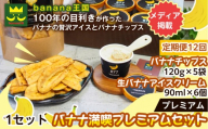 【定期便12ヶ月】【満喫プレミアムセット】プレミアム生バナナアイスクリーム（90ml×6個）・プレミアムバナナチップス （120g×5個） 1セット｜お菓子 デザート 詰め合わせ 食べ比べ ご褒美 人気 ギフト プレゼント 手土産 お祝い お配り 来客用 女性向け おしゃれ おうちカフェ お取り寄せ 贅沢 愛知県 名古屋市