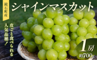皮ごと食べられる人気品種!鏡石町産 シャインマスカット 1房(約700g)マスカット ぶどう ブドウ 葡萄 デザート フルーツ 果物 くだもの 果実 食品 F6Q-483