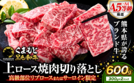 A4～A5等級 黒毛和牛 切り落とし 上 ロース 焼肉 切り落とし 600g 《7-14日以内に出荷予定(土日祝除く)》くまもと黒毛和牛 熊本県 菊池市 上ロース 焼肉用 黒毛和牛 焼肉 肉 お肉 和牛 A5 A4 300g 小分け