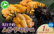 ＜先行予約＞ 北海道産 ムラサキウニ（正規品）1kg【ogm-039】生うに 塩水うに ミョウバン不使用 海鮮 国産 北海道 伊達 ふるさと納税