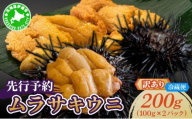 ＜先行予約＞ 北海道産 ムラサキウニ（訳あり）200g【ogm-040】生うに 塩水うに ミョウバン不使用 海鮮 訳あり 国産 北海道 伊達 ふるさと納税