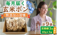 [3ヶ月定期便][素材のまま]国産無添加 玄米ポンおやつ シリアル 40g×3袋 小分け ノンフライ コシヒカリ 毎月届く[米菓子トッピング 朝食 グルテンフリー グラノーラ代替 小麦粉不使用 すずや] [e35-a053]