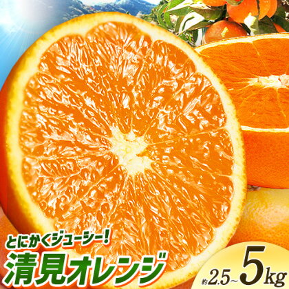とにかくジューシー 清見 オレンジ 約2.5kg 約5kg 株式会社魚鶴商店《2027年3月下旬-5月上旬頃出荷》和歌山県 日高川町 柑橘 果物 フルーツ 清見オレンジ 2617573 - 和歌山県日高川町
