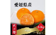 【先行受付】【最高の旨みと香りが詰まった】代々橙せとか【訳あり】3.5kg【C83-9】_ みかん せとか 蜜柑 ミカン 愛媛 柑橘 かんきつ 愛媛みかん 訳あり 果物 くだもの フルーツ 果実 青果 デザート 産直 産地直送 愛媛県 国産 送料無料 【1543886】 YWTW009