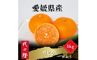 【先行受付】【最高の旨みと香りが詰まった】代々橙せとか【訳あり】5kg【E83-37】_訳アリ わけあり ワケアリミカン みかん せとか フルーツ 果物 果実 くだもの 家庭用 人気 甘い ジューシー 柑橘 かんきつ 不揃い 規格外 傷 愛媛 八幡浜市 旬 産地直送 産直 季節限定【1623736】 YWTW037