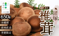 【先行予約】宮崎県諸塚村産 原木生椎茸 約650g［2026年9月～11月ごろにお届け］冷蔵｜しいたけ 生シイタケ きのこ キノコ 原木しいたけ 産地直送 秋の味覚 もろっこはうす MO-30