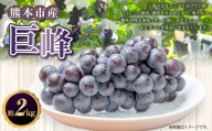 【数量限定】【先行予約】巨峰 約 2kg 果物 くだもの フルーツ ぶどう ブドウ 葡萄 グレープ 冷蔵 熊本 熊本市【2026年8月上旬～9月上旬発送予定】