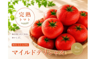 トマト デリシャスファームのトマト マイルドデリシャス  4kg  4キロ箱  / とまと 野菜 産地直送 農家直送【delf047】