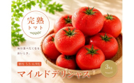 トマト デリシャスファームのトマト マイルドデリシャス  3kg  3キロ箱  / とまと 野菜 産地直送 農家直送【delf046】