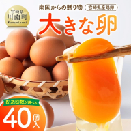 ※回数が選べる※宮崎県産鶏卵　「南国からの贈り物」大きな卵40個入り（35個+破損補償5個） 【たまご 卵 玉子 タマゴ】