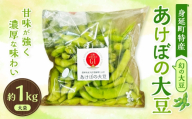 幻の大豆 身延町特産 あけぼの大豆 大袋 約1kg 大豆 豆 豆類 甘み 枝豆 国産 山梨県産 国産大豆 幻 【2026年10月下旬から順次発送予定】
