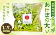 幻の大豆 身延町特産 あけぼの大豆 約300g × 2袋 × 2箱セット（ 合計4袋 約1.2kg ） 大豆 豆 豆類 甘み 枝豆 国産 山梨県産 国産大豆 幻 【2026年10月下旬から順次発送予定】