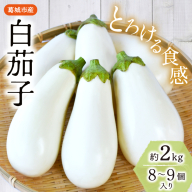 とろ～り旨なす(白茄子) 約2kg 8～9個【2026年7月初旬～9月末頃順次発送】／ B-フレスコ葛城 葛城産 大和野菜  しろなす  なすび  なす農家直送 産直 新鮮 旬 名産 奈良県 葛城市【bfrk001】