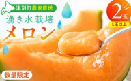 【R8年収穫分】【数量限定】さのさん家のメロン（L玉以上）２玉 湧き水栽培 さの農場