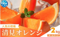 家庭用 清見オレンジ 2kg / 清見 みかん 晩柑 人気 柑橘  蜜柑 フルーツ 果物 食品 人気 送料無料 産地直送 和歌山県 由良町  ※2月下旬～3月下旬頃に順次発送予定【kzmn011-c-2】