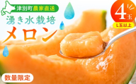 【R8年収穫分】【数量限定】さのさん家のメロン（L玉以上）４玉 湧き水栽培 さの農場