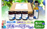 湧水の郷ブルーベリーセット 5点 （バルサミコ酢、ドレッシング、ジャム、ケチャップ、ブルーベリー塩） [秋田 美郷町 バルサミコ ビネガー ギフト ドレッシング 調味料 ジャム フルーツ 果実 果物]