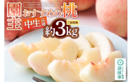 桃 園主おすすめの桃 中生（なかて）品種 約3kg 詰め合わせ ご自宅用 フルーツ王国松井 [もも フルーツ くだもの 果物]
