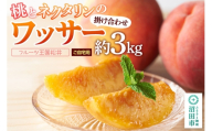 果物 桃とネクタリンの掛け合わせ「ワッサー」 約3kg ご自宅用 フルーツ王国松井 [もも フルーツ くだもの 果物 ネクタリン]