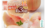 果物 園主おすすめの桃 晩生（おくて）品種 約3kg 詰め合わせ ご自宅用 フルーツ王国松井 [もも フルーツ くだもの 果物]