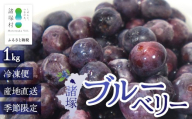 【数量限定】諸塚村産 冷凍ブルーベリー 約1kg｜ブルーベリー 果物 フルーツ 産地直送 スムージー ヨーグルト もろっこはうす 宮崎県 諸塚村 MO-34
