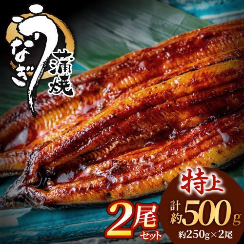 AB573.うなぎ蒲焼き2尾セット（約250g×2尾） 2618291 - 福岡県新宮町