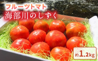 フルーツトマト「海部川のしずく」約1.2kg  トマト とまと tomato